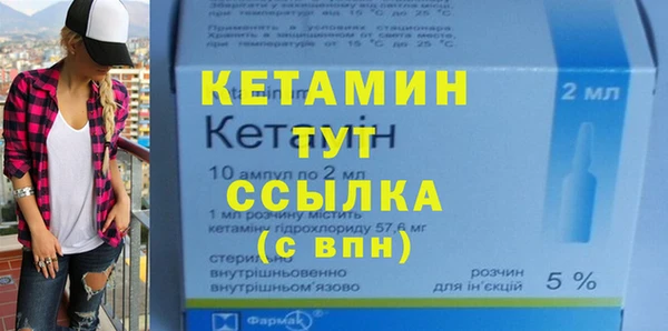 гашик Алексин