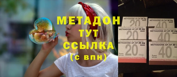 гашик Алексин