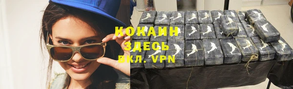 шишки Снежногорск