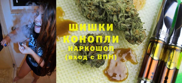 гашик Алексин