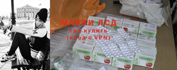 гашик Алексин