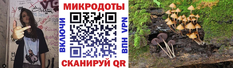 Галлюциногенные грибы мицелий  Яровое 