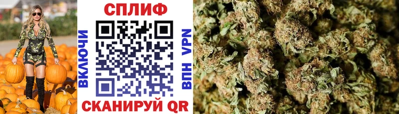 Бошки марихуана SATIVA & INDICA  Яровое 